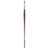 College 8730 Round Brush 8