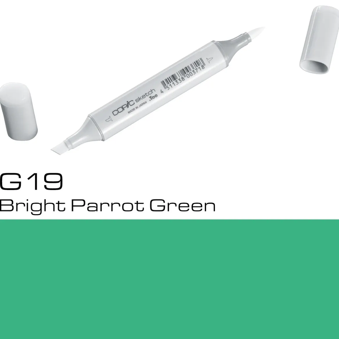 Copic Sketch G19 Br.Parr Green