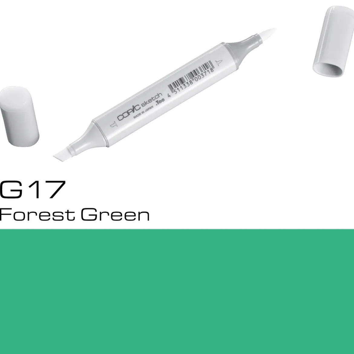 Copic Sketch G17 Forest Green