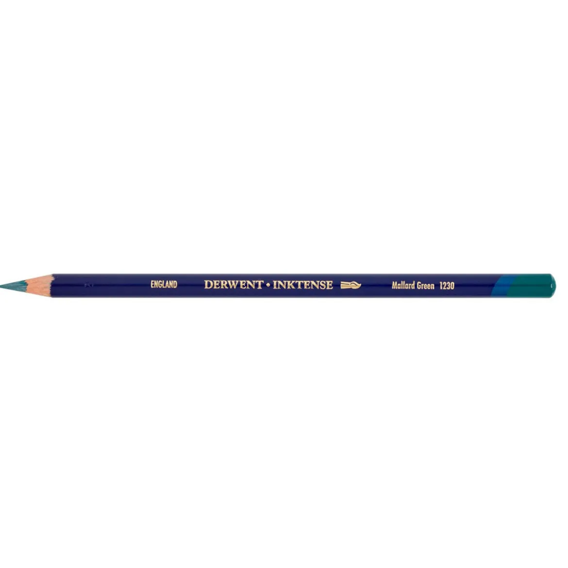 Derwent Inktense Mallard Green