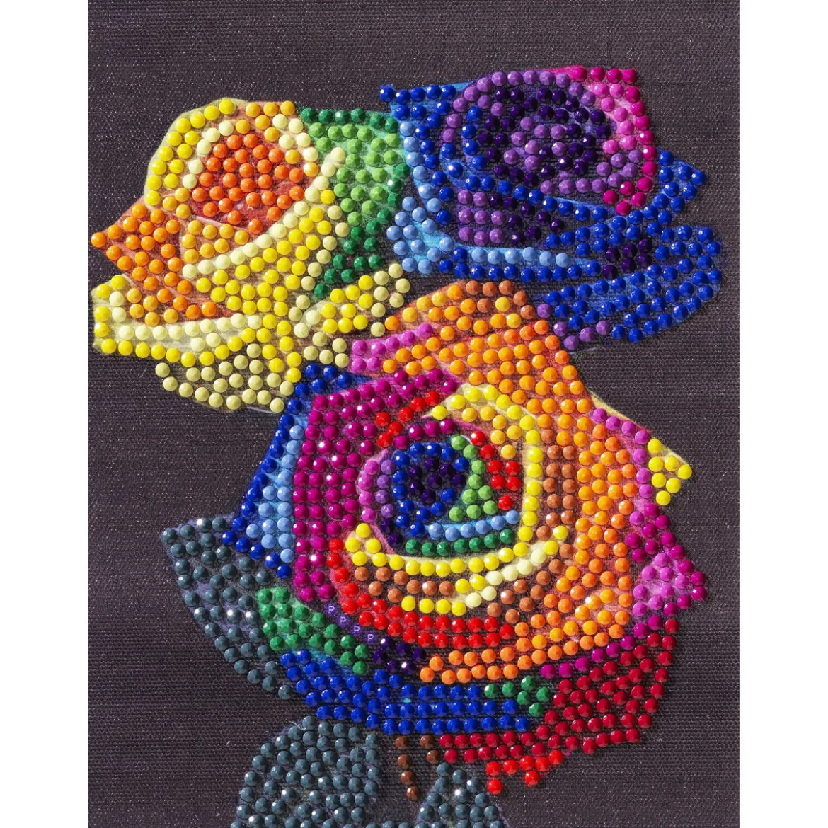 Diamond painting – 12×16 cm stort motiv med regnbuefargede roser