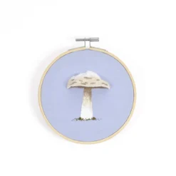 DMC Broderisett Prince Mushroom – alt du trenger for å brodere en sopp med 3D-effekt, Ø12,5 cm