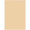 Folia A4 170 g beige 10-pk