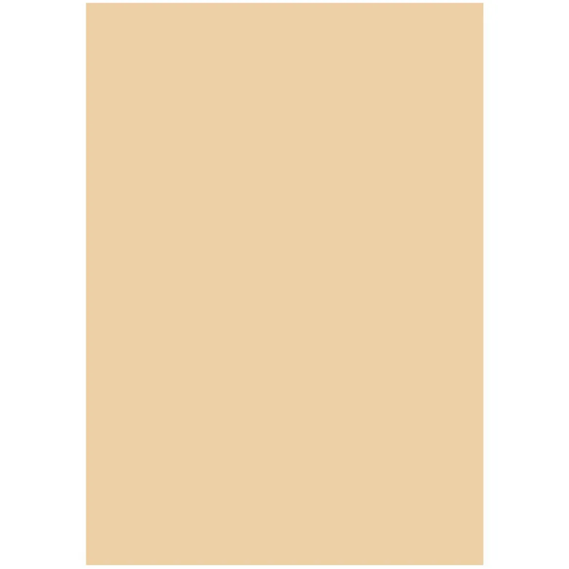 Folia A4 170 g beige 10-pk