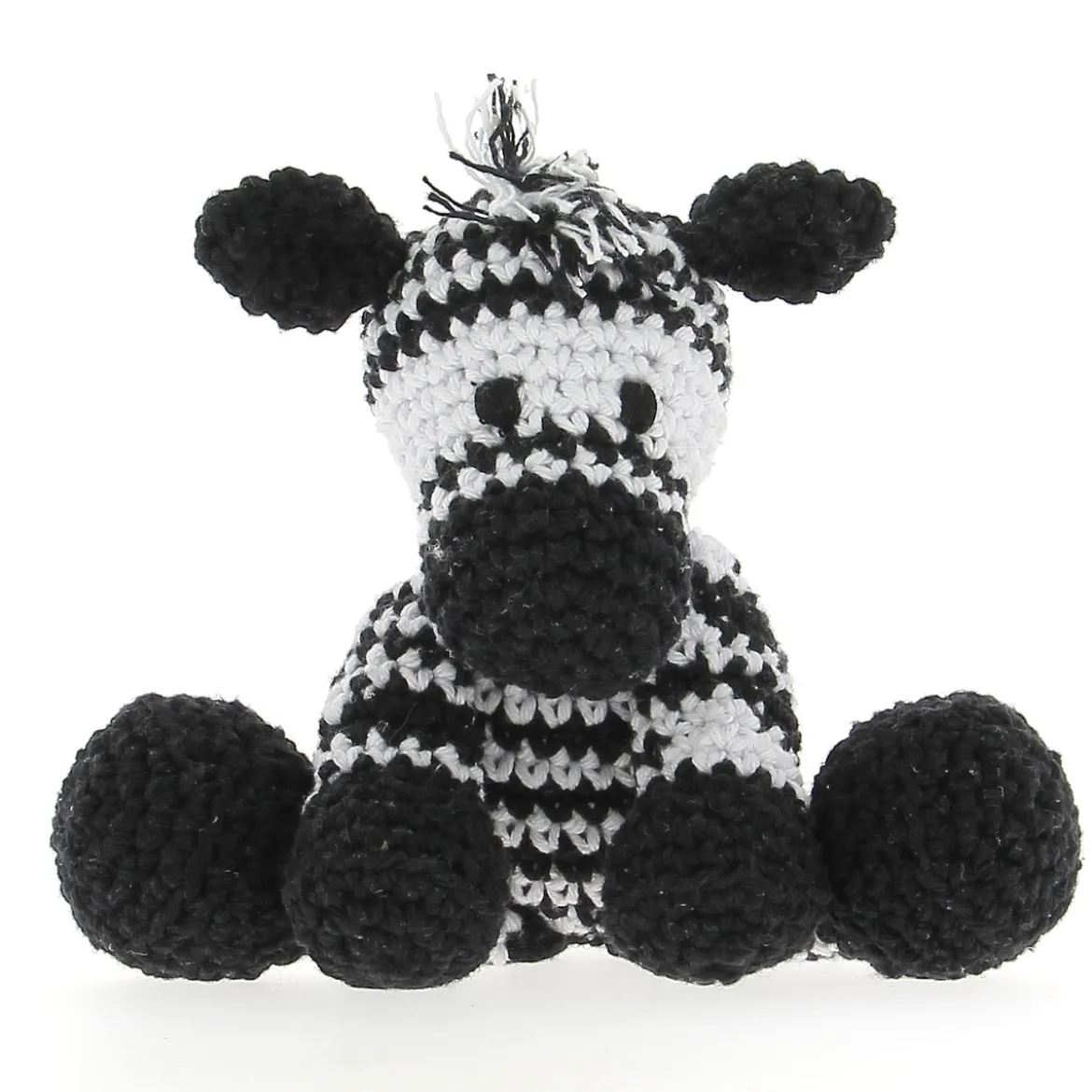 Hooked DIY kit Zebra Zizi