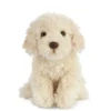 Kosedyr labradoodle