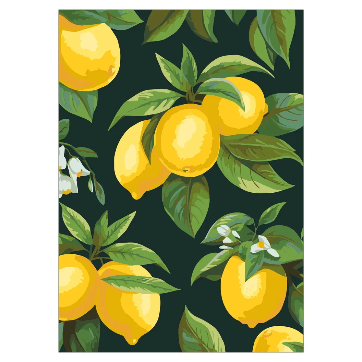 Paint by number / mal etter tall – sitroner, 25×35 cm + 18 farger og 3 pensler