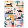 Paint by number / mal etter tall – katter, 25×35 cm + 18 farger og 3 pensler