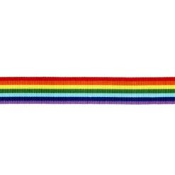 Rainbow ribbon 25 mm/4 m