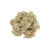 Reinlav (hvitmose) 100 g