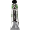 Rembrandt akrylmaling 40 ml Permanent Green Light - 618