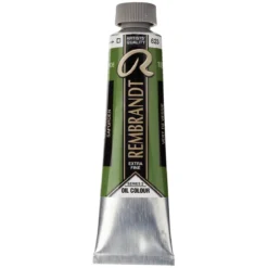 Rembrandt oljemaling 40 ml Sap Green - 623