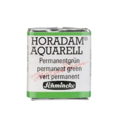 Schmincke Horadam akvarellmaling ½ kopp – Prussian green 528
