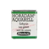Schmincke Horadam akvarellmaling ½ kopp – Cobalt green dark 533