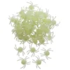 50 selvlysende / glow in the dark edderkopper – løp for livet!