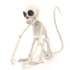 Skjelett-ape