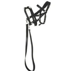 Svart bissel, hodelag med kryssneserem til kjepphest og hobby horse