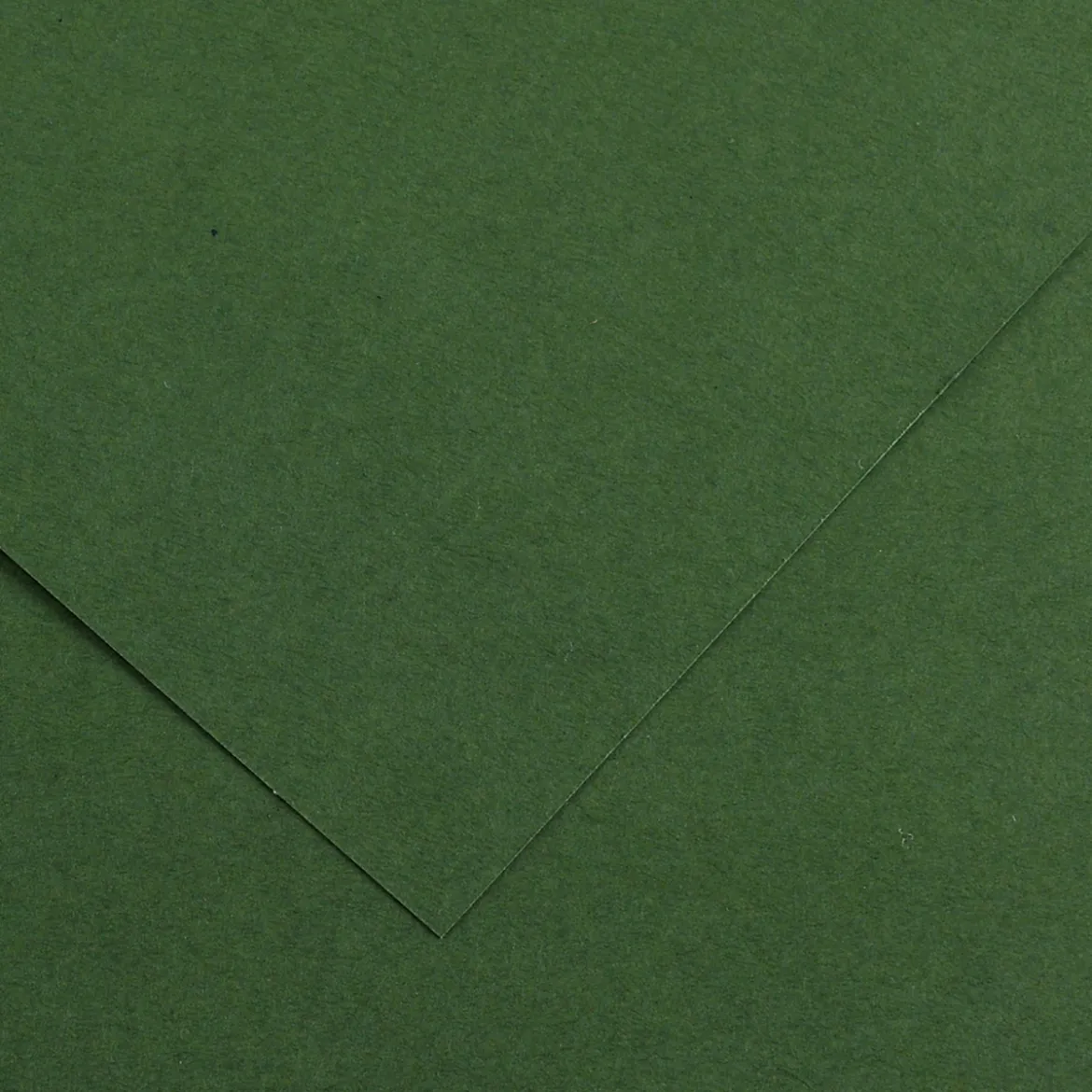 Vivaldi A3 185g Fir tree