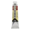Water col 20 ml Burnt sienna