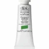 Winsor & Newton Designers Gouache 14 ml – Sap green 599