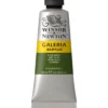 Winsor & Newton Galeria akrylmaling 60 ml Olive Green 447