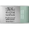 Winsor & Newton Professional akvarellmaling helkopp Terre Verte 637